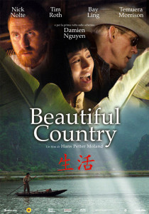 beautiful country poster